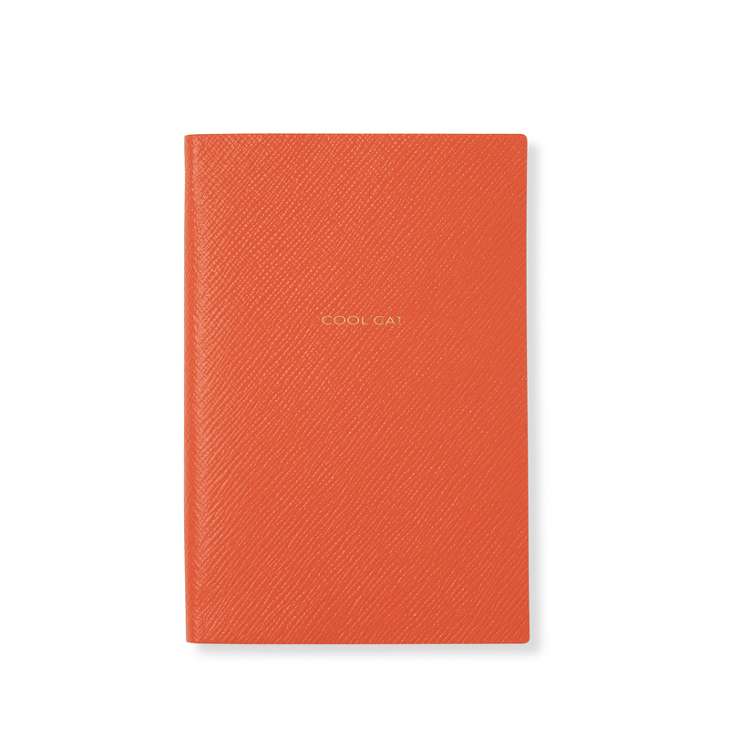 Cool Cat Chelsea Notebook in Panama