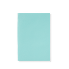 Chelsea Notebook in Panama