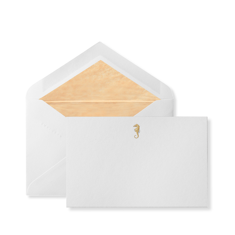 Seahorse Correspondence Cards