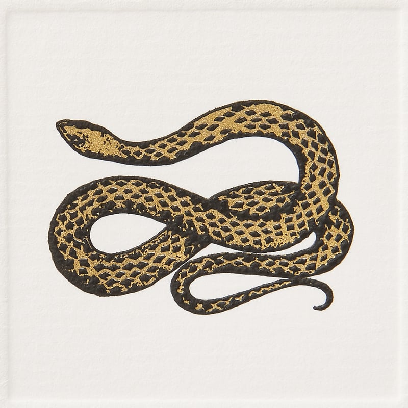 Snake Notelets
