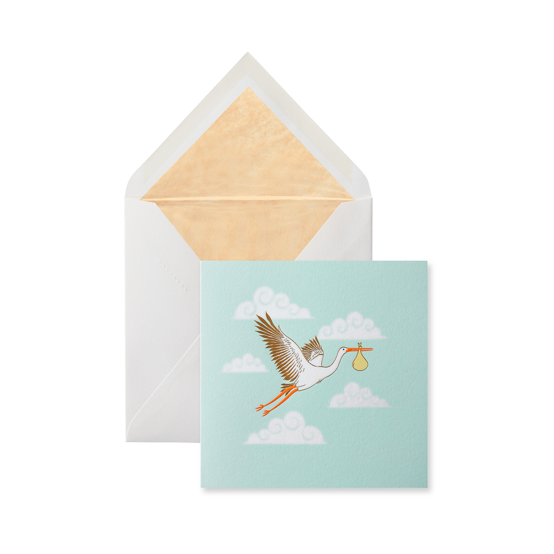 Stork Birth Greeting Card