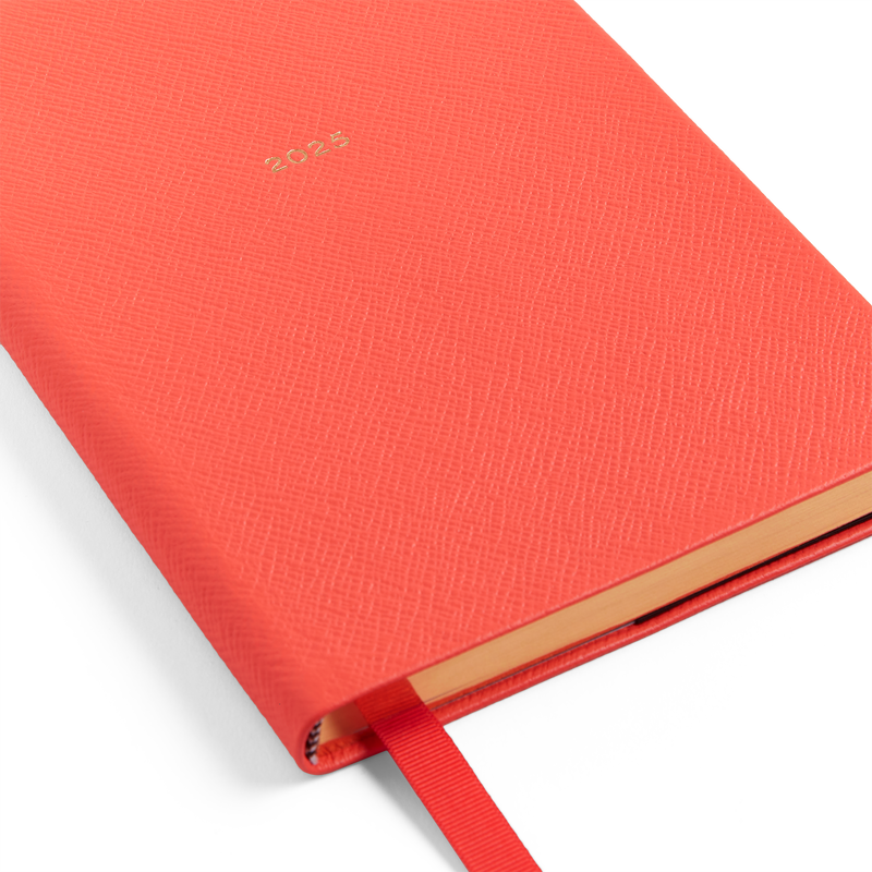 2025 Soho Daily Diary in Panama