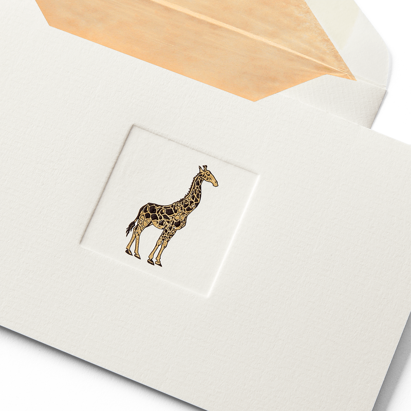 Bigliettini con giraffa