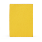 Passport Cover in Panama