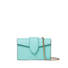 Card Case with Chain in Panama