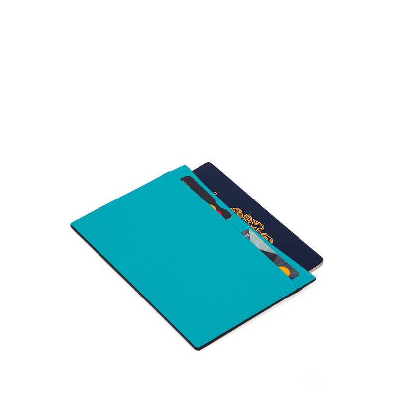 Passport Sleeve in Panama