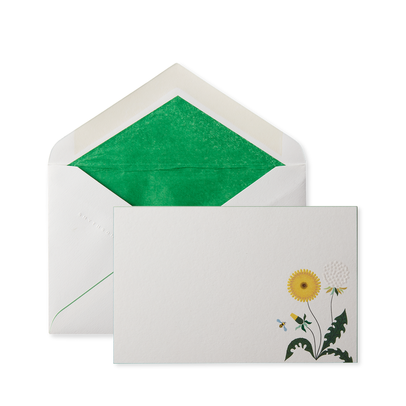 The Gardening Collection Correspondence Cards