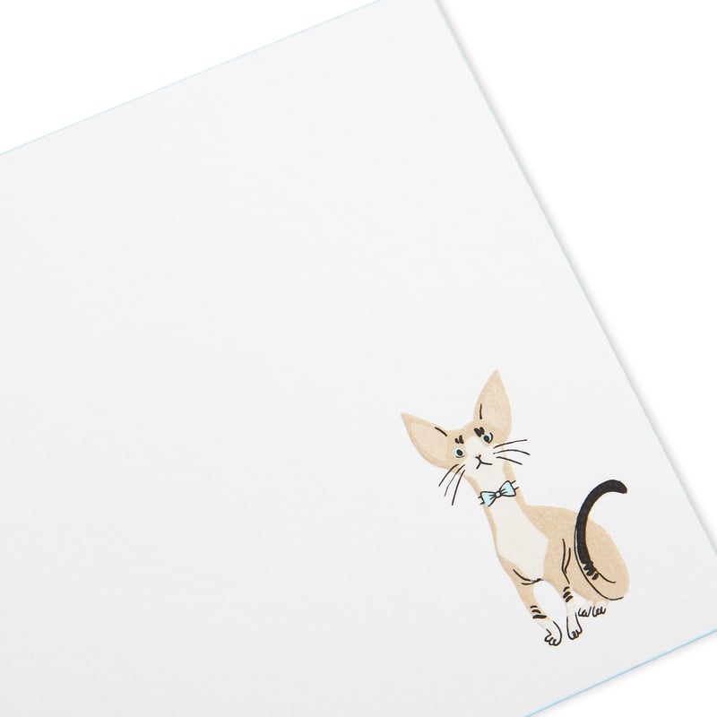 Devon Rex Cat Motif Correspondence Card Set