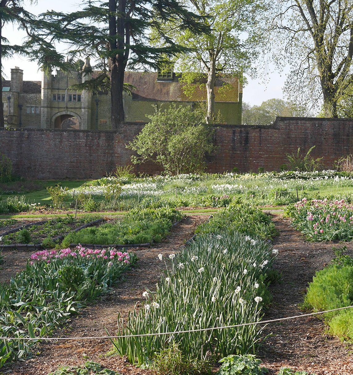 Stokesay Flowers | Smythson