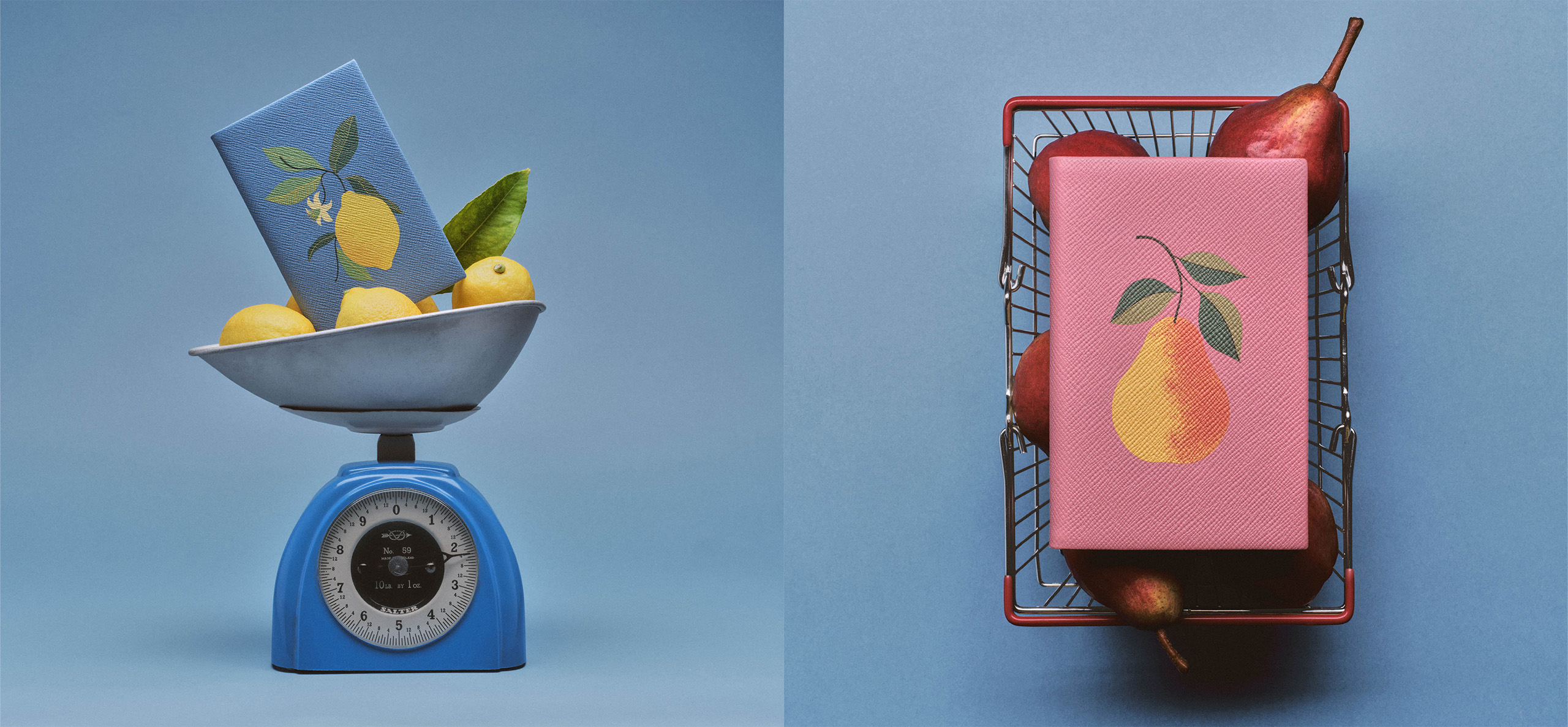 Fruit Collection Header